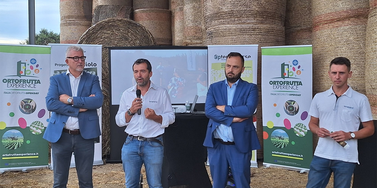 Filiera, meccanizzazione e mercato: il nocciolo di Op Terremerse conquista terreno